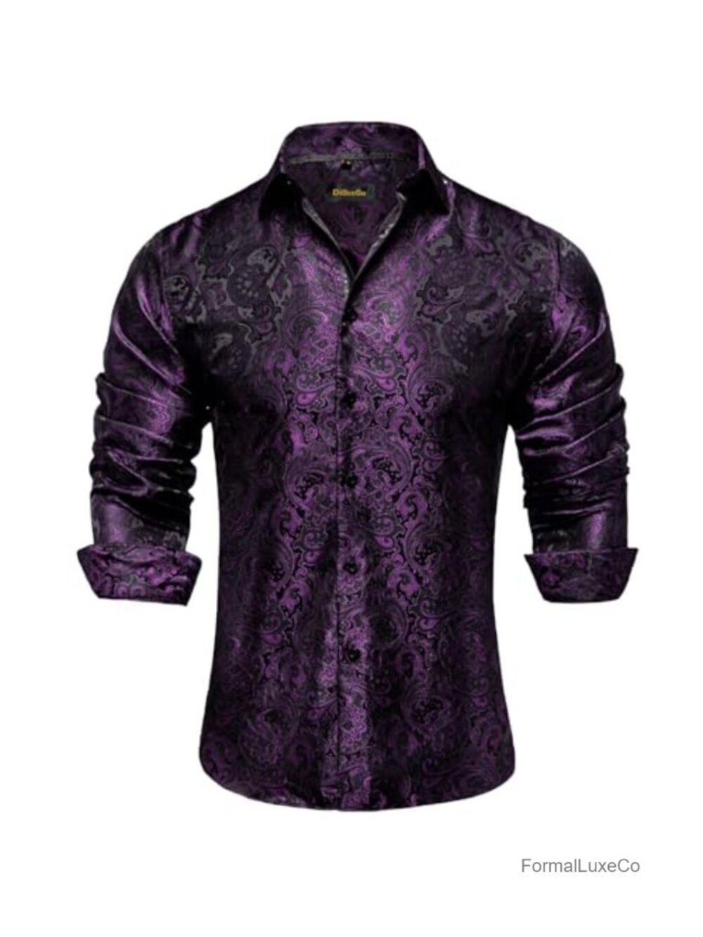 Mens Silk Paisley Button Down Dress Shirt Long Sleeve Regular Fit